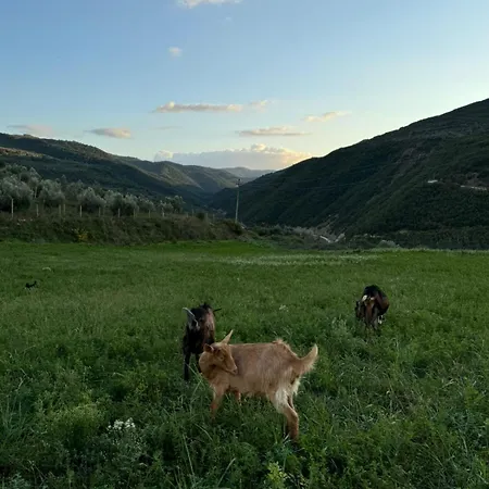 Gasthuis Farm River And Kanoe