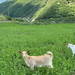 Farm River And Kanoe Πανσιόν 3*