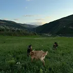 Πανσιόν Farm River And Kanoe