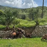 Πανσιόν Farm River And Kanoe