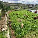 Farm River And Kanoe Πανσιόν 3*