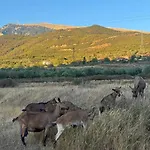 Farm River And Kanoe Πανσιόν Polican (Berat)